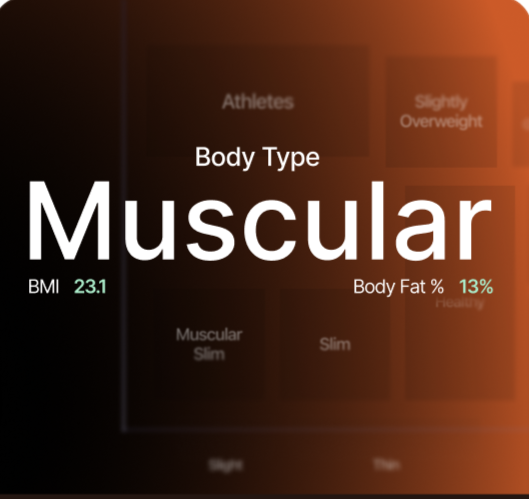 Body type assessment showing Muscular
