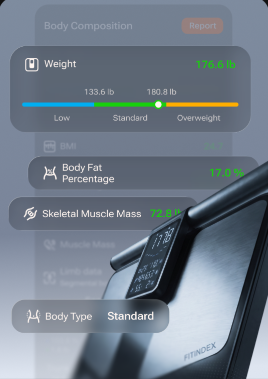 Body composition report in the app