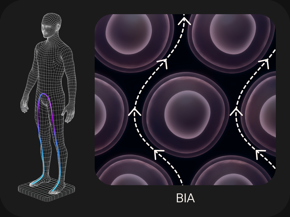 Standard BIA: current runs up the legs only and flows around cells