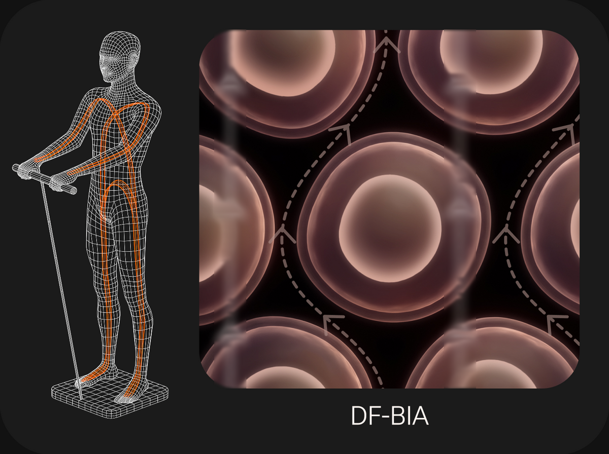 DF-BIA: current runs hand to foot and passes through cells as well as around them