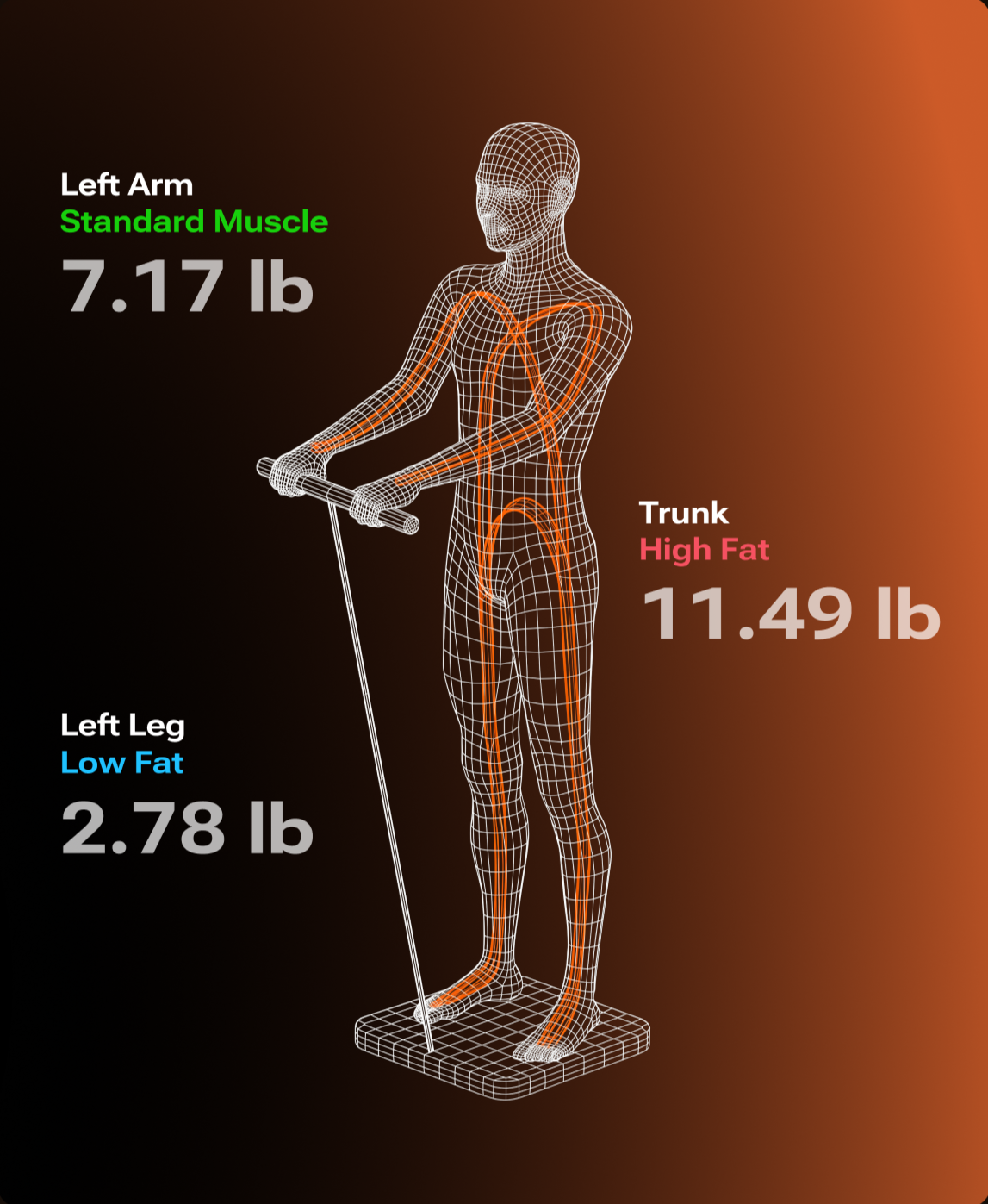 Wireframe figure gripping the handle, with left arm, trunk and left leg readings